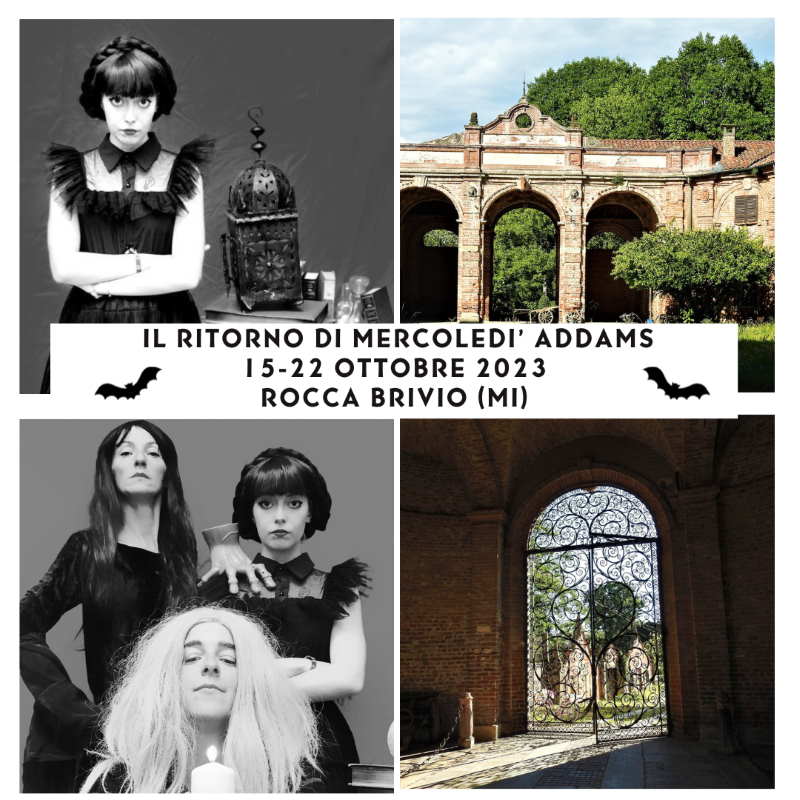 mercoledì addams collage