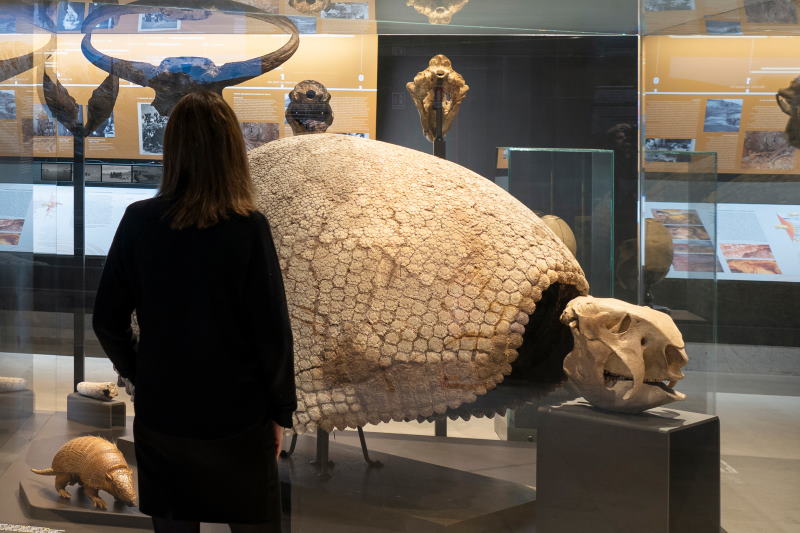 museo storia naturale nuova sala