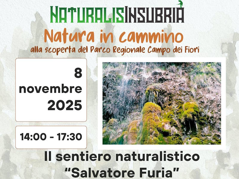 Escursione gratuita lungo il sentiero Salvatore Furia di Masciago Primo