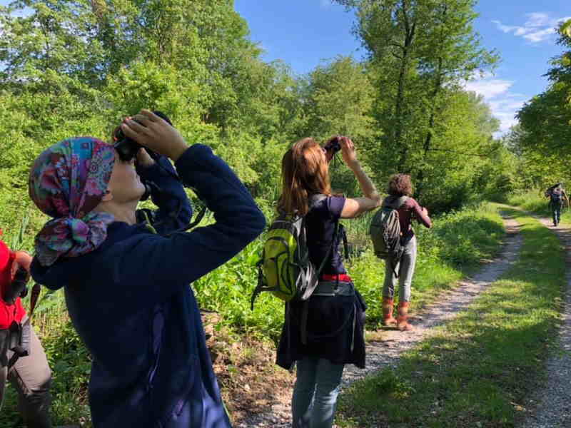 Visita guidata e gara di orienteering all'Oasi della Palude Brabbia