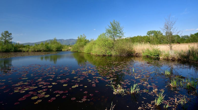 palude brabbia nuova