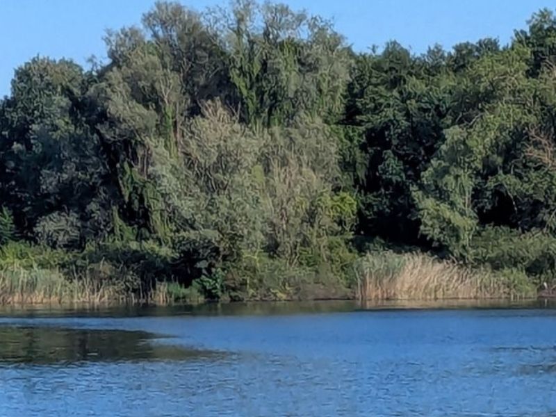 Passeggiata gratuita ad Angera sulle tracce di Alessandro Volta
