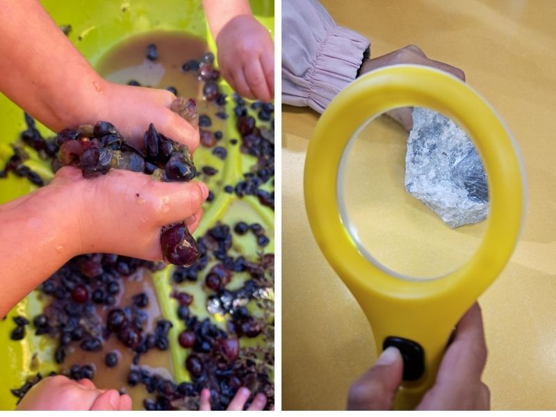 scuole materne gallarate uva