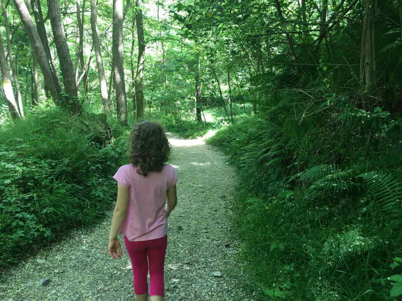 Il Sentiero dell’Alto Verbano, tra natura e storia!