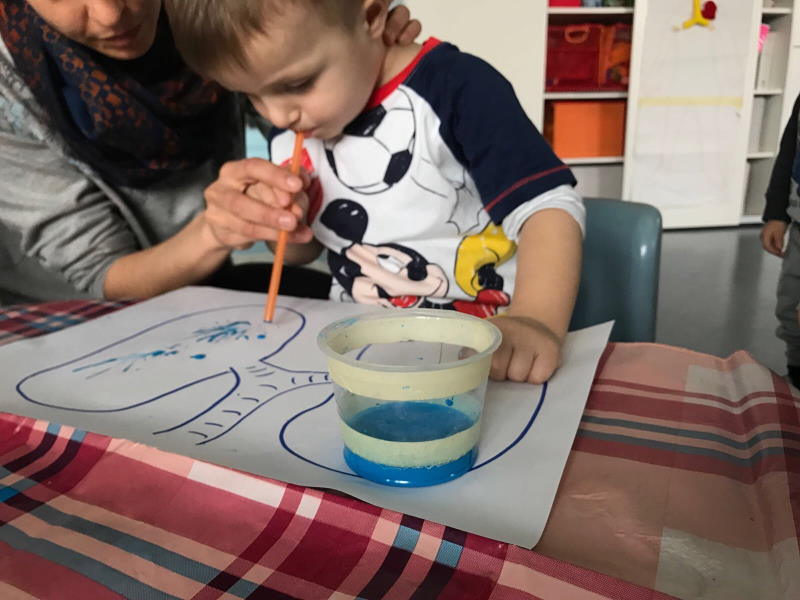 sezione primavera albero dei bambini varese giochi