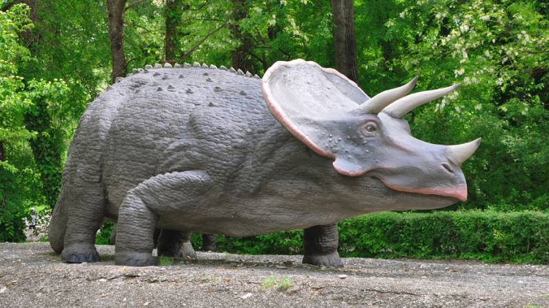 triceratopo