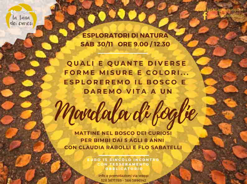Mandala di Foglie al Bosco dei Colori