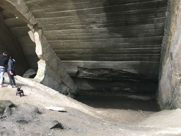 Passeggiata nel verde delle Cave di Molera di Malnate