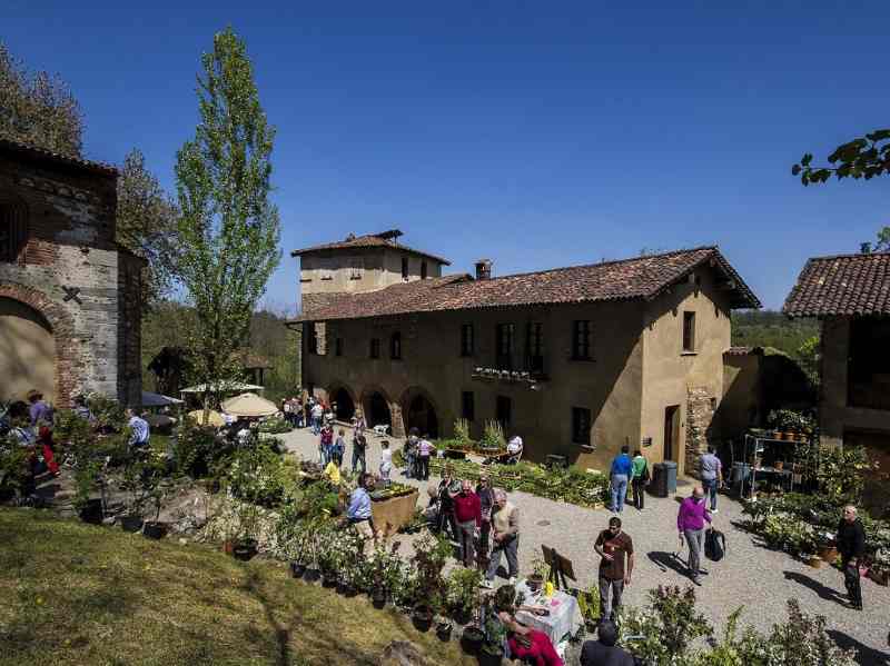 Fiori al Monastero di Torba