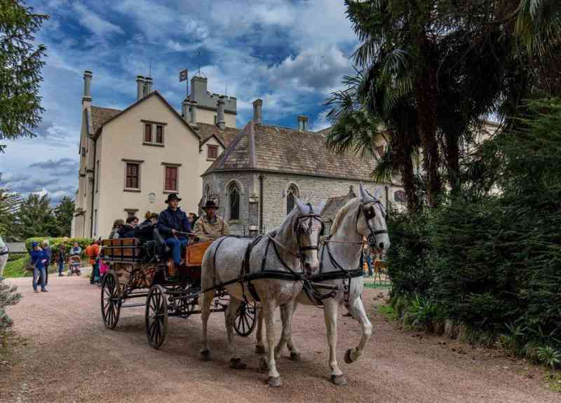 Il Castello delle Sorprese arriva ad Oleggio Castello!