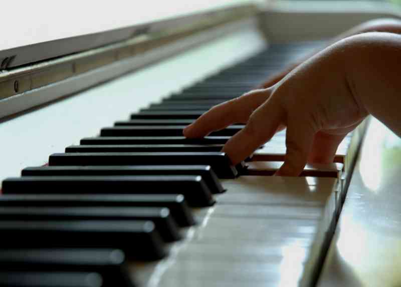 L'Albero della Musica, scuola di musica a Varese