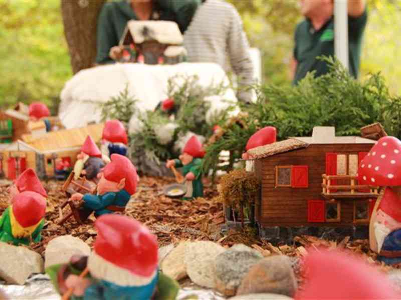 Festa "il bosco incantato" al Parco Pineta!