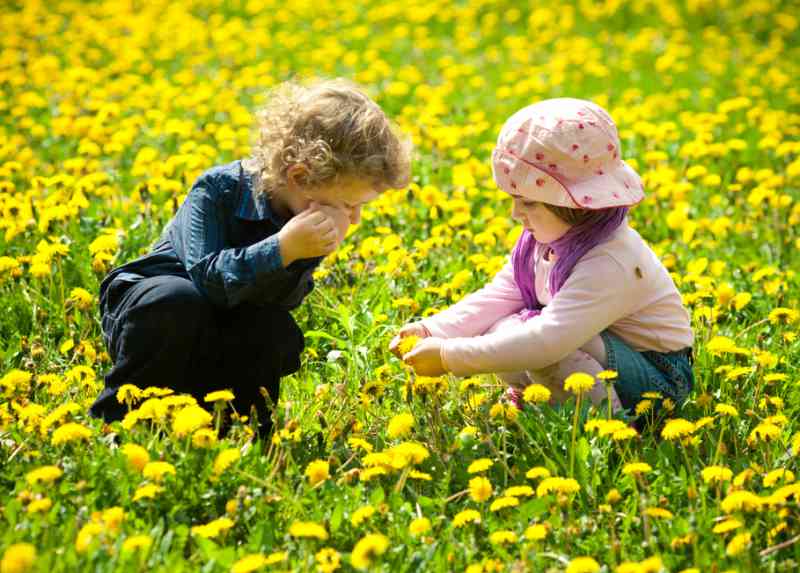 allergia e bambini