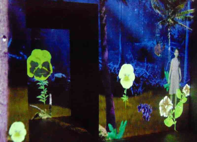 museo meina per le famiglie con bambini