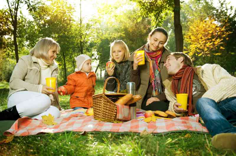 pic nic