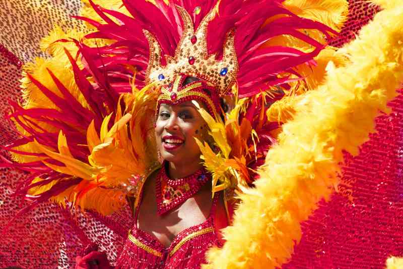 carnevale varese