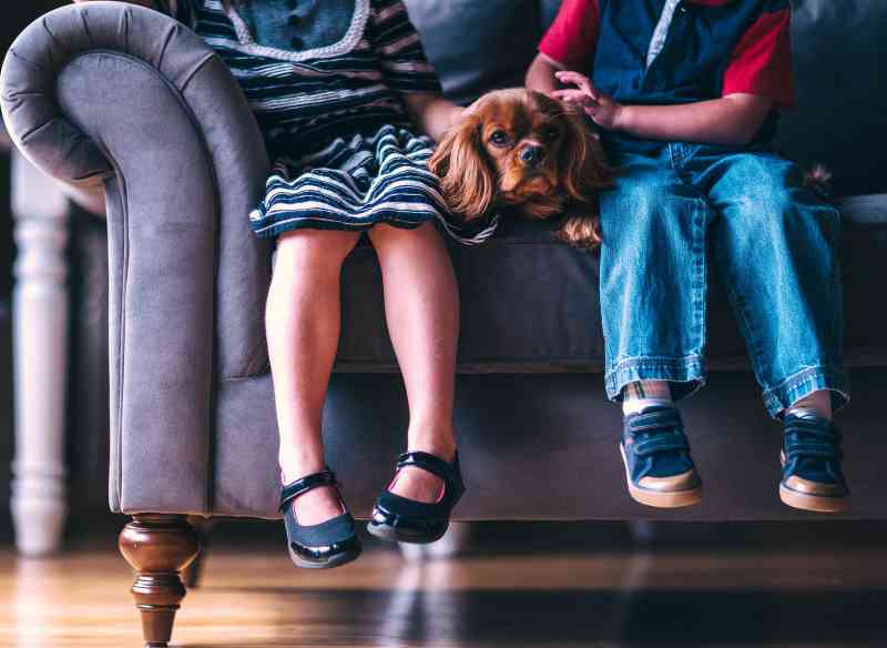interazione cane bambino