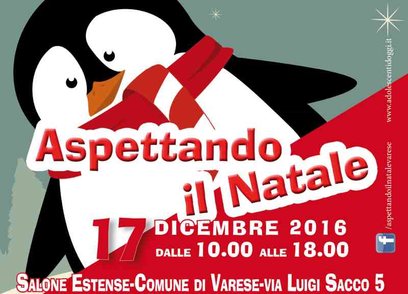 Aspettando il Natale al Salone estense di Varese