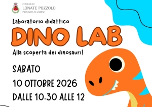 dino lab lonate pozzolo