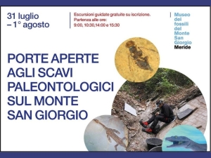 porte aperte agli scavi