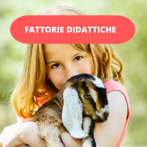 FATTORIE DIDATTICHE