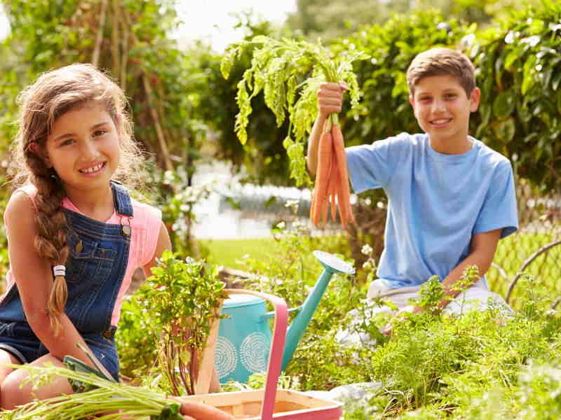 Giardinaggio con i bambini: orto per tutti!