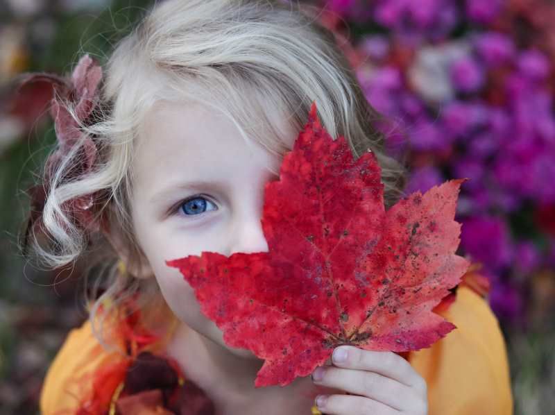 Foliage, castagne e sagre d'autunno con i bambini